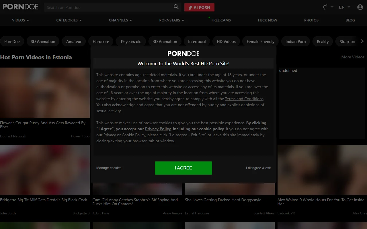 Screenshot of Porndoe